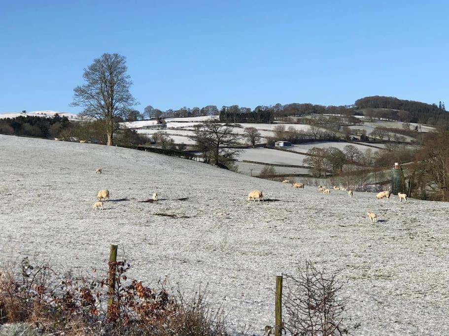 5F Stanley Lodge, Caer Beris, Builth Wells - No Tradesman Ngoại thất bức ảnh